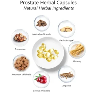 Prostate Therapy Capsules - Supporting Healthy Prostate Function - Image 6