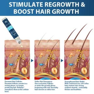 STEM Cell Hair Cycle Roller - Image 3
