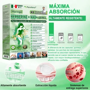 Maravilla Matutina · Berberina × NAD+ 10 en 1 Parche de Nanomicroagujas Avanzado - Image 8