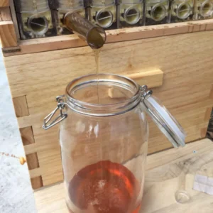 The Honey Sweet Hive - Image 6