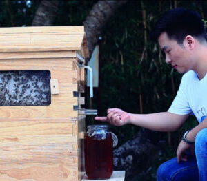 The Honey Sweet Hive - Image 7