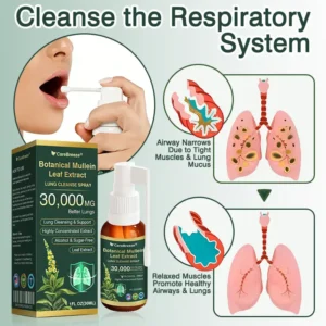Botanical Mullein Leaf Extract Lung Cleanse Spray - Image 5