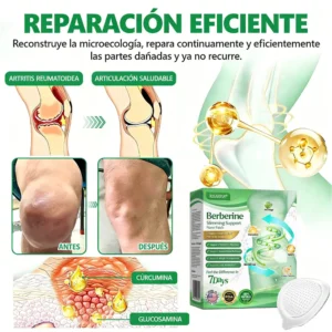BERBERINE Nano Patch Solution