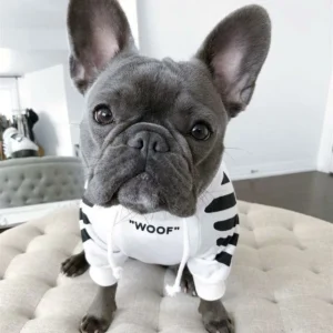 ‘WOOF’ Trendy Dog Hoodie - Image 4