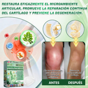 🇺🇸 Tienda Oficial | Moringa · Berberina × NAD+ 10-en-1 Advanced Nano Microneedle Patch - Image 3