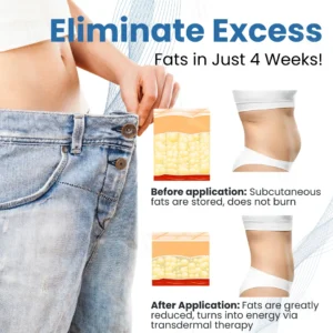 Clinical Body Sculpting System - Image 3