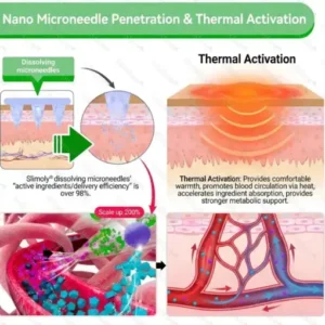 7-Day Herbal Nanoneedle Shaping Patch - Image 2