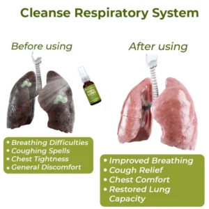️ BreathDetox Herbal Lung Cleansing Spray - Image 5