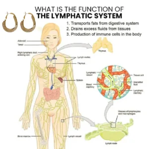 Miniyou Lymphatic Drainage Earrings - Image 4