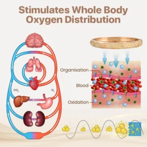 Magnetic Lymphatic Wellness Bracelet - Image 7