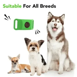 12Month Natural Flea Tick Protection Pendant - Image 2