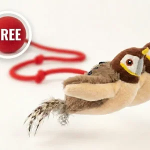 Interactive Chirping Bird Cat Toy - Image 11