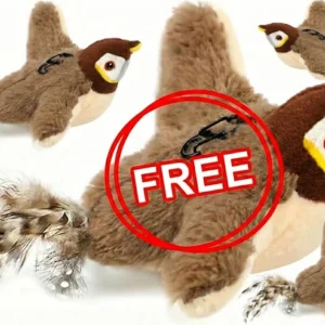 Interactive Chirping Bird Cat Toy - Image 12