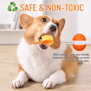 Interactive Moving Dog Ball - Image 4