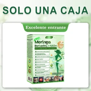 𝑴𝒐𝒓𝒊𝒏𝒈𝗮 · 𝗕𝗲𝗿𝗯𝗲𝗿𝙞𝙣𝙚 × 𝙉𝐀𝐃+ 10-en-1 Parche Avanzado de Nano Microagujas