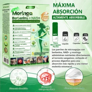 𝑴𝒐𝒓𝒊𝒏𝒈𝗮 · 𝗕𝗲𝗿𝗯𝗲𝗿𝙞𝙣𝙚 × 𝙉𝐀𝐃+ 10-en-1 Parche Avanzado de Nano Microagujas - Image 6