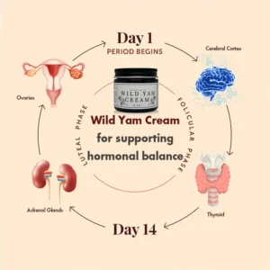 Wild Yam Cream - Image 7