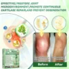 Moringa Berberine × NAD⁺ 10-in-1 Nano Microneedle Patch