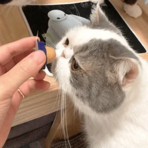 Cat Treat Sugar Ball - Image 2