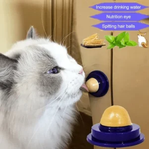 Cat Treat Sugar Ball - Image 3