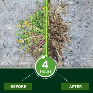 2-in-1 Weed Killer | Same-Day Results & Kills Roundup-Resistant Weeds - Image 5