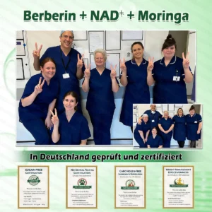 Moringa· Berberin x NAD+ FortschrittlichesNano-Mikronadel-Pflaster 10-in-1 - Image 8