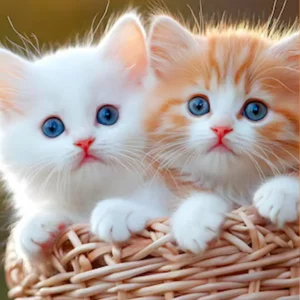 My Realistic Kitten Robot - Image 4