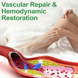 Professional Natural Leg Circulation Cream - Image 6
