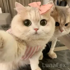 LUNA the Robot Cat Perfect Pet Duo for Kids & Family - Image 2