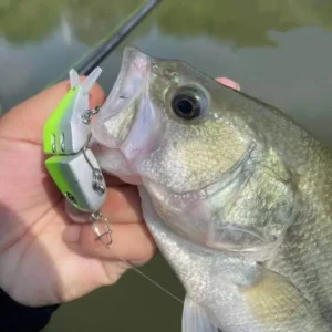 3D Simulation Bait - 4 Pcs Set | MLF Recommended - Image 3