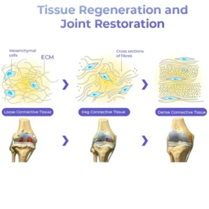 Pro PainRelief Restorative Joint Spray - Image 4