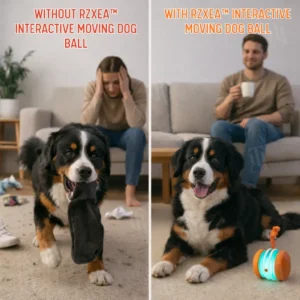 Interactive Moving Dog Ball (𝟟𝟘% 𝕆𝔽𝔽 𝗘𝗡𝗗𝗦 𝗜𝗡 𝟭𝟬 𝗠𝗜𝗡𝗨𝗧𝗘𝗦) - Image 2