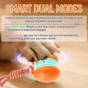 Interactive Moving Dog Ball (𝟟𝟘% 𝕆𝔽𝔽 𝗘𝗡𝗗𝗦 𝗜𝗡 𝟭𝟬 𝗠𝗜𝗡𝗨𝗧𝗘𝗦) - Image 5