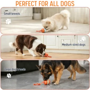 Interactive Moving Dog Ball (𝟟𝟘% 𝕆𝔽𝔽 𝗘𝗡𝗗𝗦 𝗜𝗡 𝟭𝟬 𝗠𝗜𝗡𝗨𝗧𝗘𝗦) - Image 6