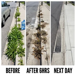 2-in-1 Max Strength Herbicide: Fast Acting Results on Glyphosate-Resistant Weed - Image 5
