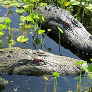PRANK – REMOTE CONTROLLED ALLIGATOR - Image 10