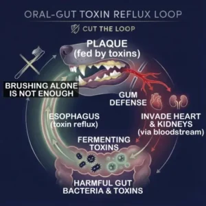 Pet Dental & Digestive Health Oral Liquid - Image 5