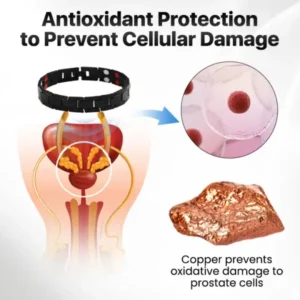 ProstaLift Magnetic Therapy Band - Image 5
