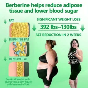 Berberine 10-in-1 Nano Microneedle Patch - Image 17