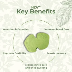 Natural Knee Pain Patches - Image 3