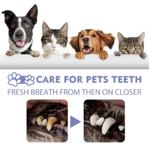 No-Brushing Oral Care Spray for Dogs & Cats - Image 2