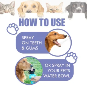 No-Brushing Oral Care Spray for Dogs & Cats - Image 3