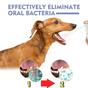 No-Brushing Oral Care Spray for Dogs & Cats - Image 4
