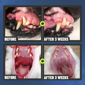 Teeth Cleaning Spray for Dogs & Cats - Image 3