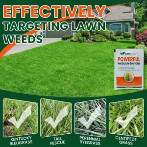Powerful Herbicide Granules - Image 7