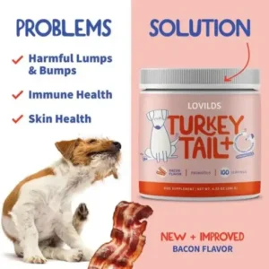 Turkey Tail Mushroom + Probiotic Formula - Image 6