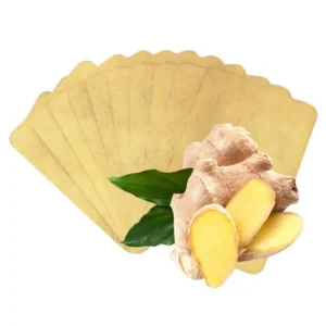 Lymphatic Detox Healing Ginger Patch - Image 2