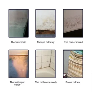 Mildew Cleaner Foam - Image 3