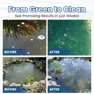 Aqua-Guardian Pro Formula-Say Goodbye to Murky Water! - Image 3