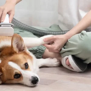 Professional Pet Grooming Vacuum Kit - Image 2